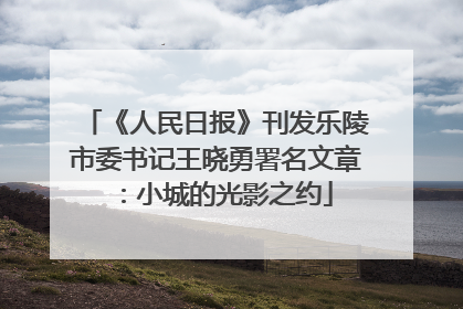 《人民日报》刊发乐陵市委书记王晓勇署名文章：小城的光影之约