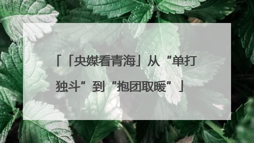 「央媒看青海」从“单打独斗”到“抱团取暖”