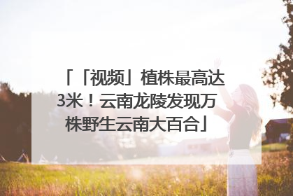 「视频」植株最高达3米！云南龙陵发现万株野生云南大百合