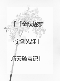 「金陵逐梦·宁创先锋」巧云破茧记