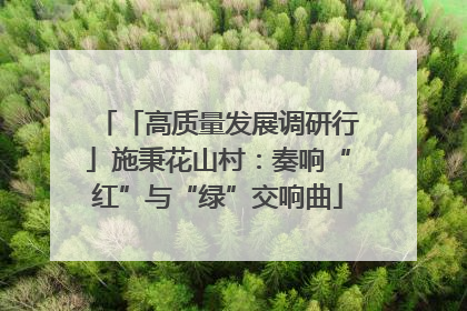 「高质量发展调研行」施秉花山村：奏响“红”与“绿”交响曲