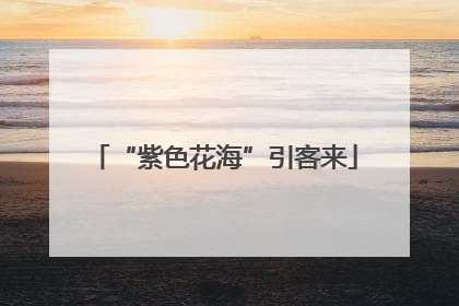 “紫色花海”引客来