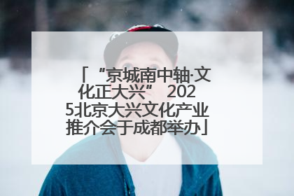“京城南中轴·文化正大兴” 2025北京大兴文化产业推介会于成都举办