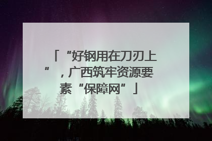 “好钢用在刀刃上”，广西筑牢资源要素“保障网”