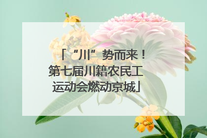 “川”势而来！第七届川籍农民工运动会燃动京城