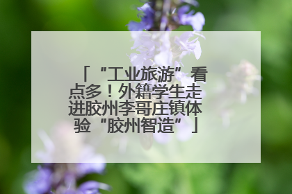 “工业旅游”看点多！外籍学生走进胶州李哥庄镇体验“胶州智造”