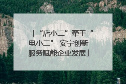 “店小二”牵手“电小二” 安宁创新服务赋能企业发展