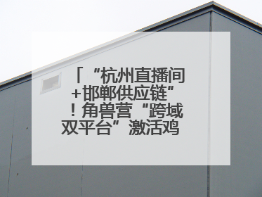 “杭州直播间+邯郸供应链”！角兽营“跨域双平台”激活鸡泽产业新动能