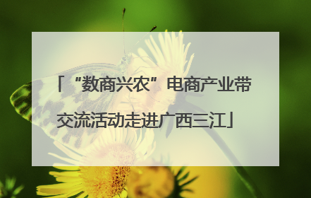 “数商兴农”电商产业带交流活动走进广西三江