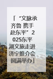 “文脉承齐鲁 携手赴东平”2025东平湖文旅走进济宁推介会圆满举办