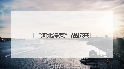 “河北净菜”靓起来