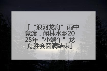 “浪河龙舟”雨中竞渡，闲林水乡2025年“小端午”龙舟胜会圆满结束