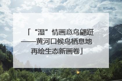 “湿”情画意鸟翩跹——黄河口候鸟栖息地再绘生态新画卷