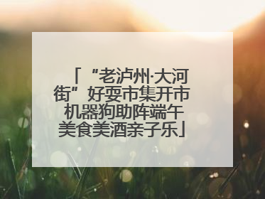 “老泸州·大河街”好耍市集开市 机器狗助阵端午美食美酒亲子乐