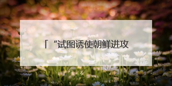 “试图诱使朝鲜进攻韩国”！韩议员：韩军曾派无人机侵入平壤