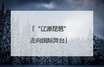 “辽源琵琶” 走向国际舞台