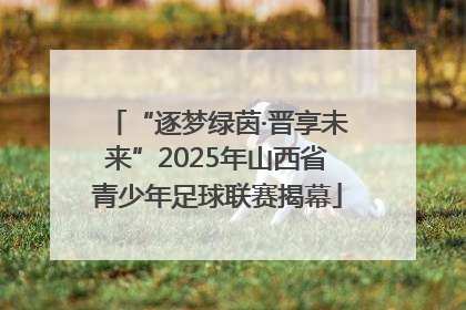 “逐梦绿茵·晋享未来”2025年山西省青少年足球联赛揭幕
