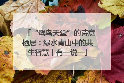 “鹭鸟天堂”的诗意栖居：绿水青山中的共生智慧丨有一说一