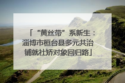 “黄丝带”系新生：淄博市桓台县多元共治铺就社矫对象回归路