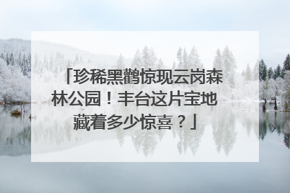 珍稀黑鹳惊现云岗森林公园！丰台这片宝地藏着多少惊喜？