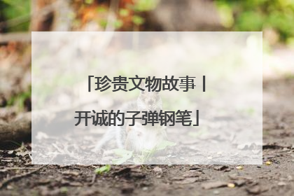 珍贵文物故事丨开诚的子弹钢笔