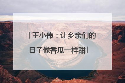 王小伟：让乡亲们的日子像香瓜一样甜