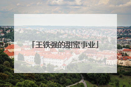 王铁强的甜蜜事业