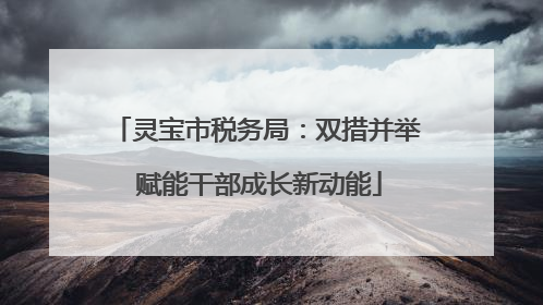 灵宝市税务局：双措并举 赋能干部成长新动能
