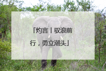 灼言丨驭浪前行，勇立潮头