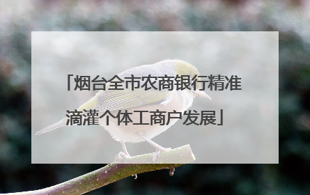 烟台全市农商银行精准滴灌个体工商户发展
