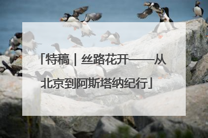 特稿｜丝路花开——从北京到阿斯塔纳纪行