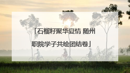 石榴籽聚华夏情 随州职院学子共绘团结卷
