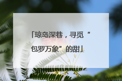 琼岛深巷，寻觅“包罗万象”的甜