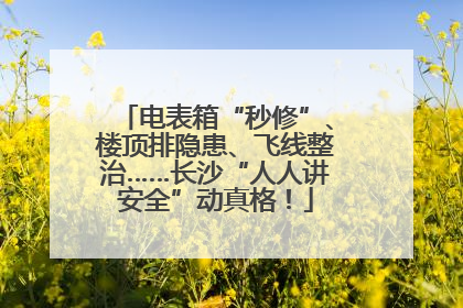 电表箱“秒修”、楼顶排隐患、飞线整治……长沙“人人讲安全”动真格！