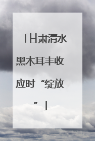 甘肃清水黑木耳丰收应时“绽放”