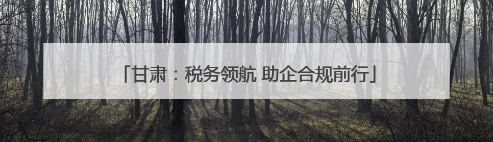 甘肃：税务领航 助企合规前行
