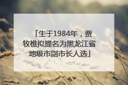 生于1984年，贾牧樵拟提名为黑龙江省地级市副市长人选