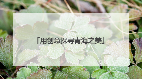 用创意探寻青海之美