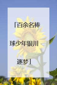 百余名棒球少年银川逐梦