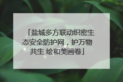 盐城多方联动织密生态安全防护网，护万物共生 绘和美画卷