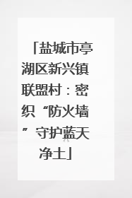 盐城市亭湖区新兴镇联盟村：密织“防火墙”守护蓝天净土