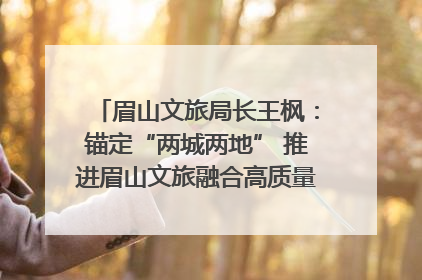 眉山文旅局长王枫：锚定“两城两地” 推进眉山文旅融合高质量发展｜文旅局长说