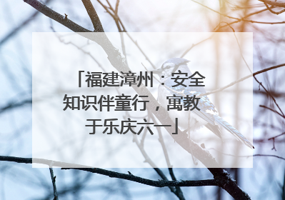 福建漳州：安全知识伴童行，寓教于乐庆六一