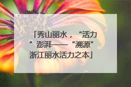 秀山丽水，“活力”澎湃——“溯源”浙江丽水活力之本