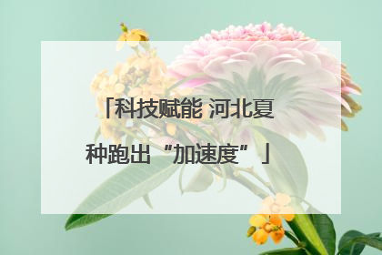 科技赋能 河北夏种跑出“加速度”