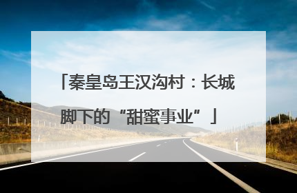 秦皇岛王汉沟村：长城脚下的“甜蜜事业”