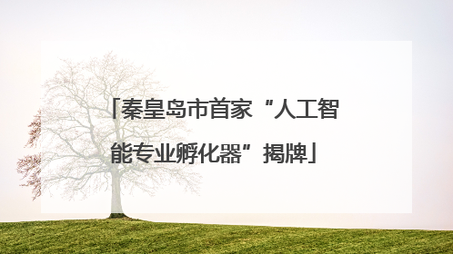 秦皇岛市首家“人工智能专业孵化器”揭牌