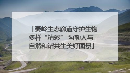 秦岭生态廊道守护生物多样“精彩” 勾勒人与自然和谐共生美好图景