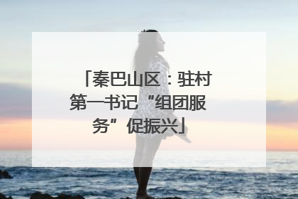 秦巴山区：驻村第一书记“组团服务”促振兴