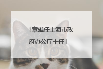 章雄任上海市政府办公厅主任